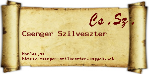 Csenger Szilveszter névjegykártya